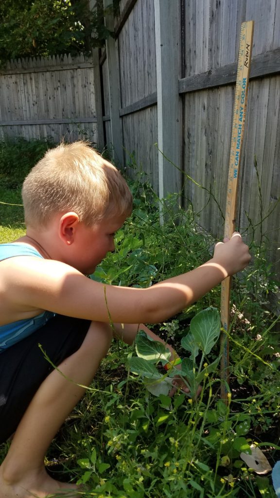 Growing Garden ‘Literacy’ at Highgate Library & Community Center