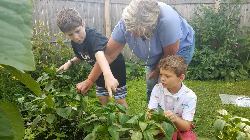 Growing Garden ‘Literacy’ at Highgate Library & Community Center