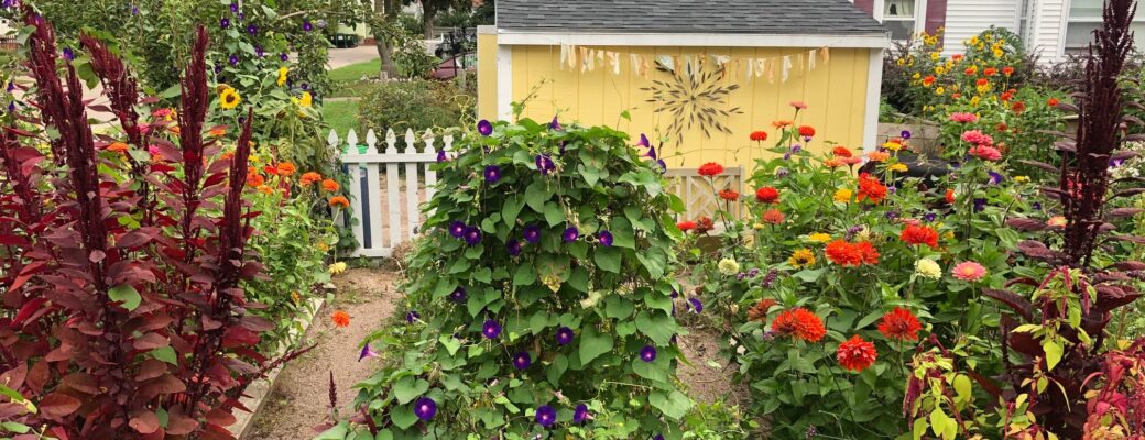 Summer Internship – Work in this Garden!