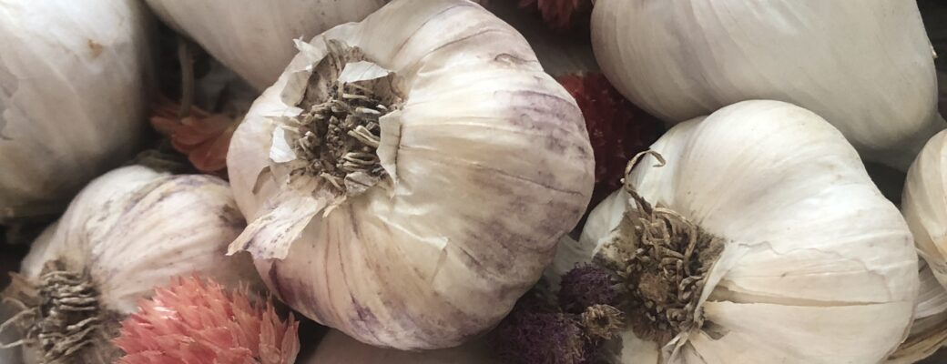 Seed Saving & Garlic Planting