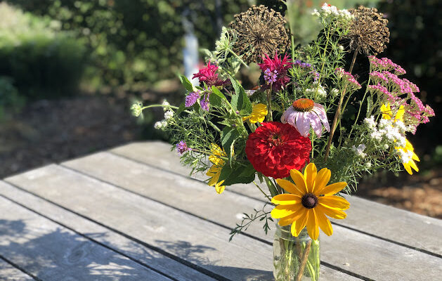 Now Hiring – Fall Garden Apprenticeship