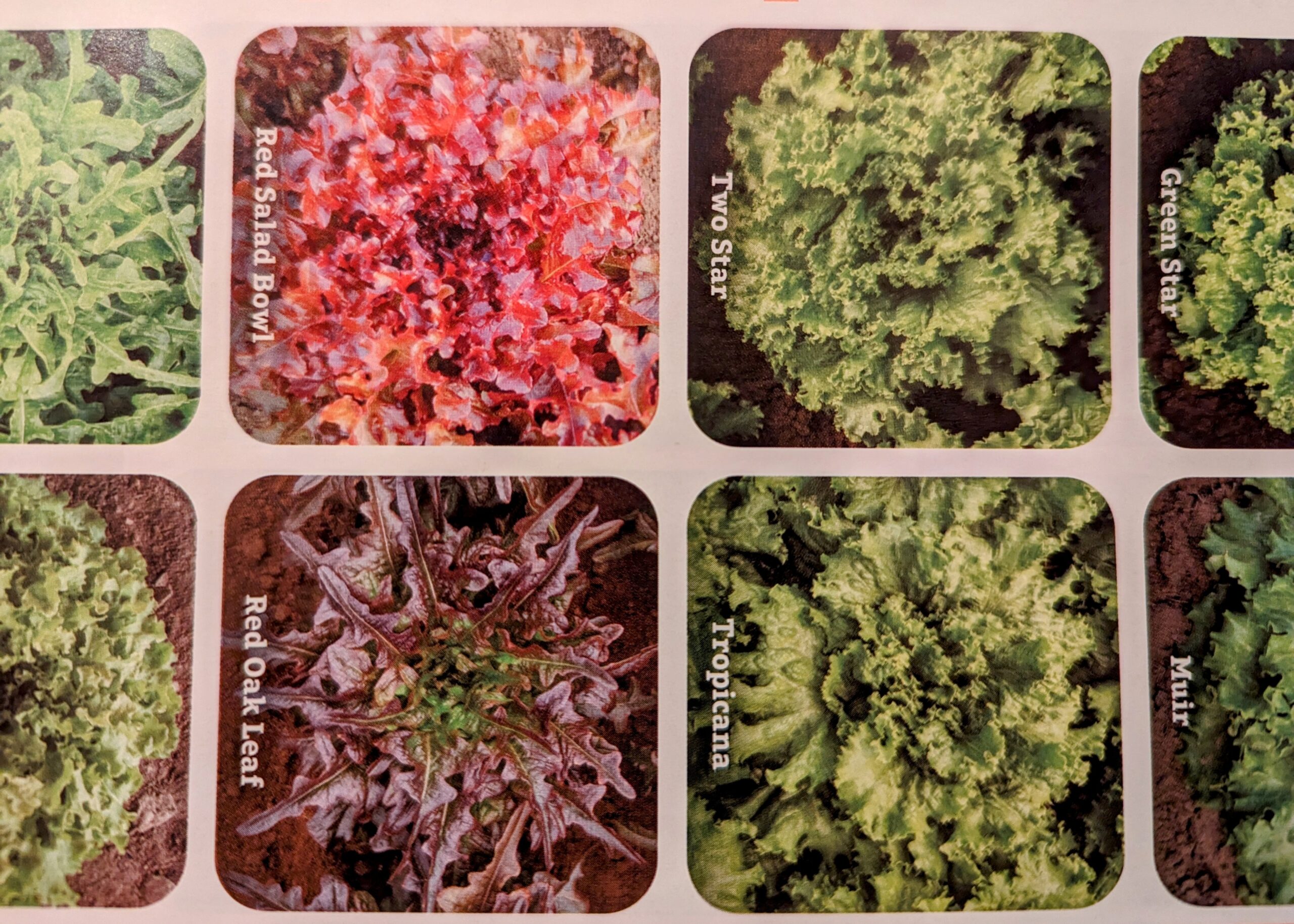 It is Seed Catalog Season, Hooray! Vermont Garden Network