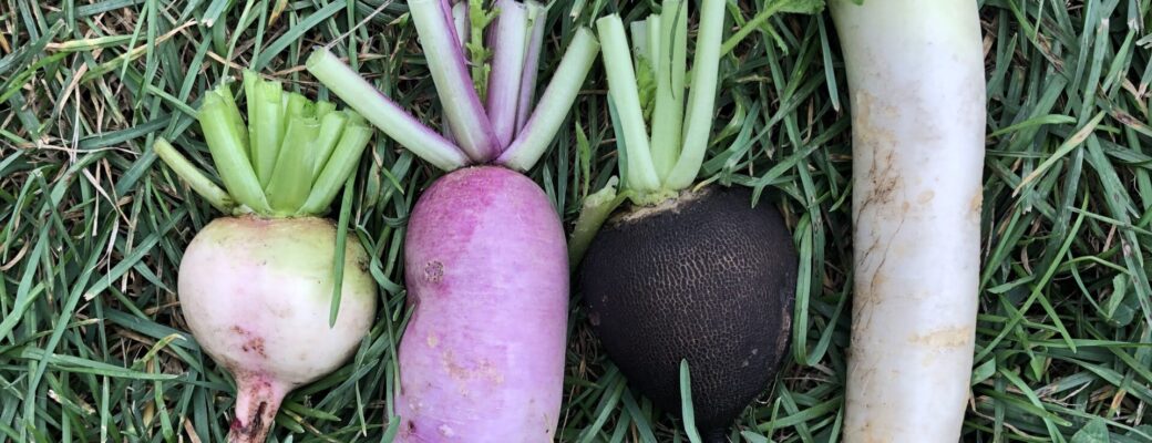 This Month in the Garden