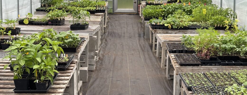 Greenhouse Programming Schedule