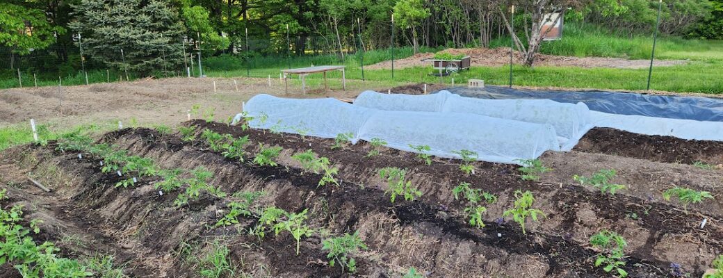 FREE Workshop on 9/16 : Revitalize Challenging Soils via Cover Crop & Bed Prep Techniques